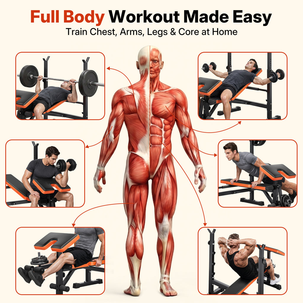 YOLEO 6 in 1 Adjustable & Foldable Weight Bench Set for Bench Press