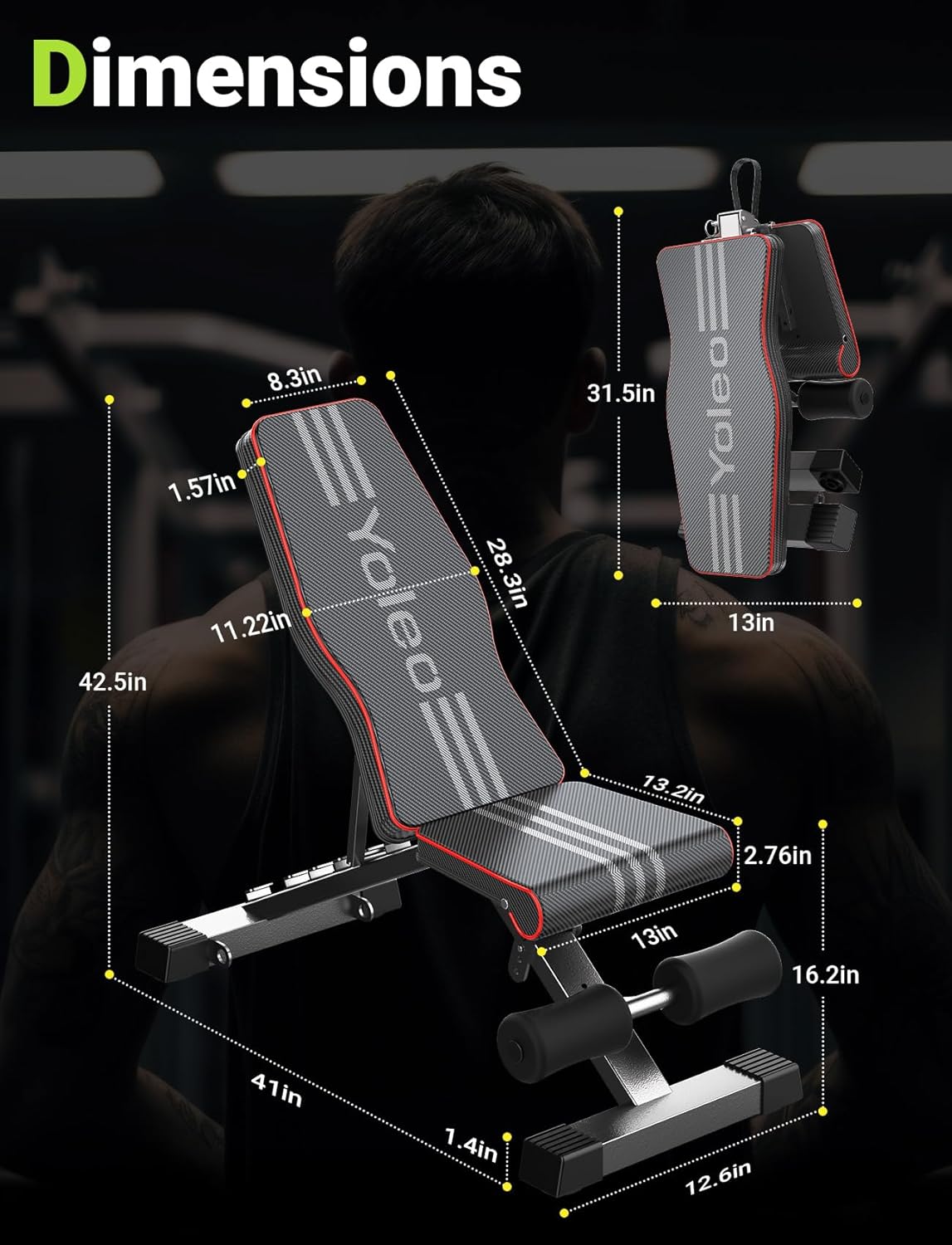 Yoleo Folding and Weight Bench for Full Body Workout