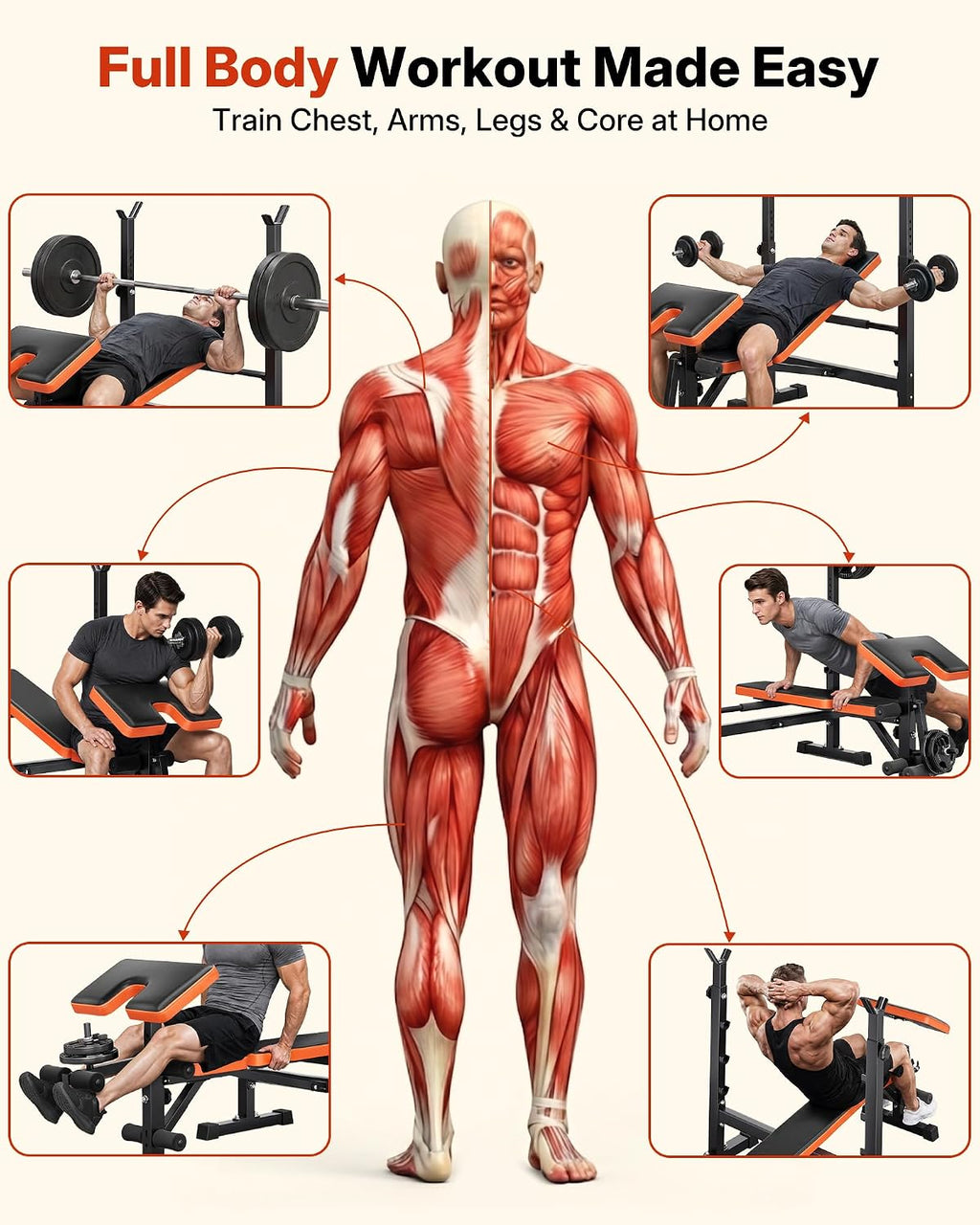 YOLEO 6 in 1 Adjustable & Foldable Weight Bench Set for Bench Press